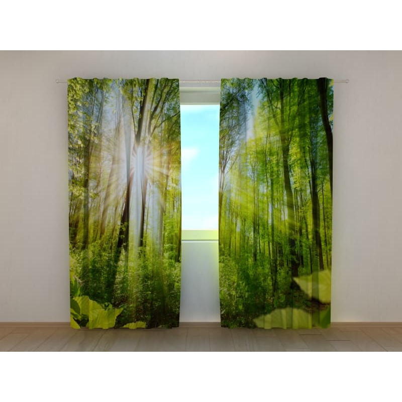 1,00 € Personalized curtain - with the green forest
