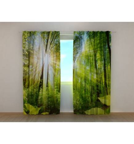 Personalized curtain - with the green forest