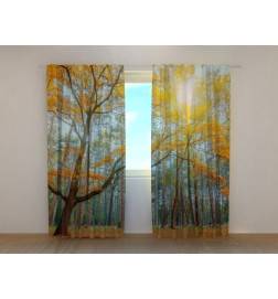 Personalized curtain - in a sunny forest