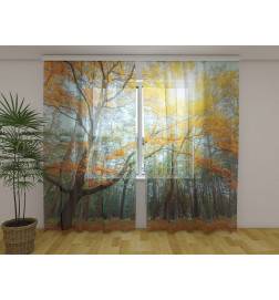 Personalized curtain - in a sunny forest