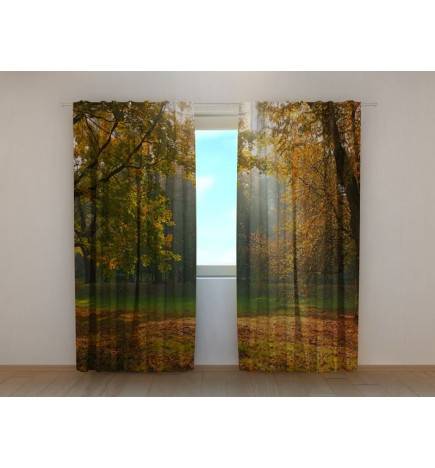 1,00 € Personalisierter Vorhang - Herbst mit einem Wald