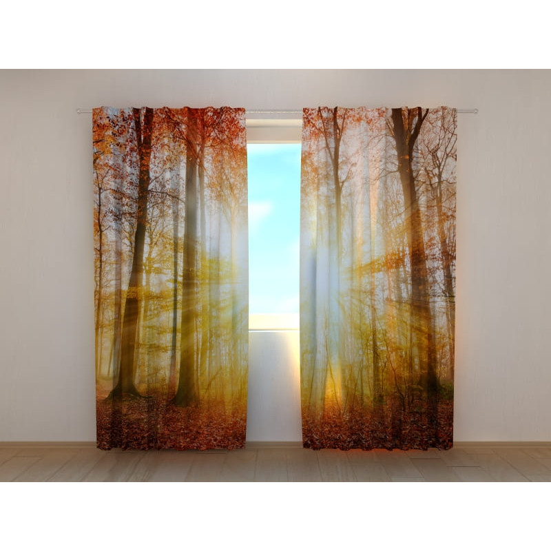1,00 € Custom tent - sunny with a forest