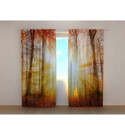 1,00 € Tent op maat - zonnig met bos