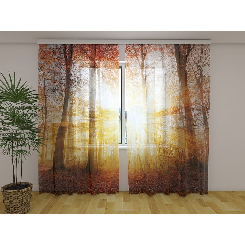 1,00 € Cort personalizat - însorit cu pădure 1,00 € Cort personalizat - însorit cu pădure