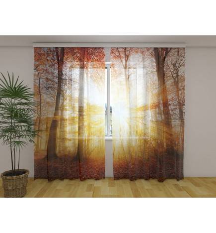 Tent op maat - zonnig met bos