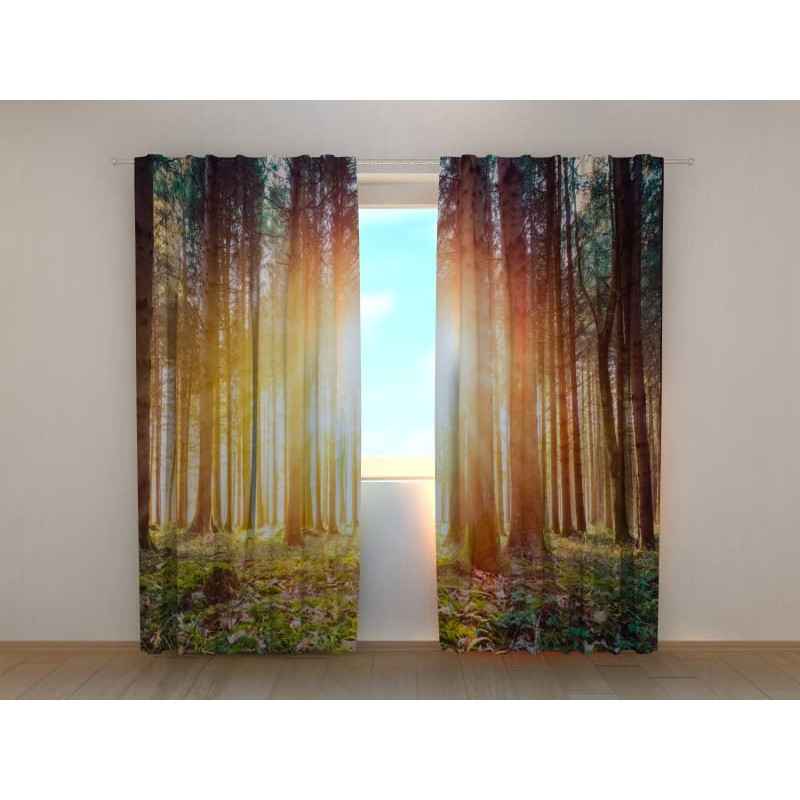 1,00 €Tenda personalizzata - soleggiata con un bosco