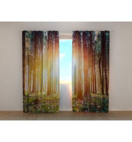 1,00 €Tente sur mesure - ensoleillée avec un bois