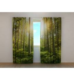 1,00 € Custom Tent - Sunny with a green forest