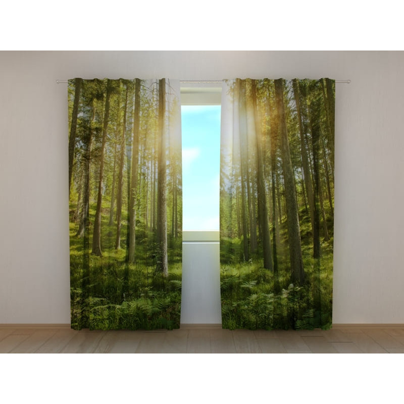 1,00 €Tente personnalisée - Ensoleillée avec une forêt verte