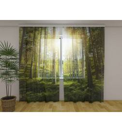 Tenda personalizzata - Soleggiata con una foresta verde