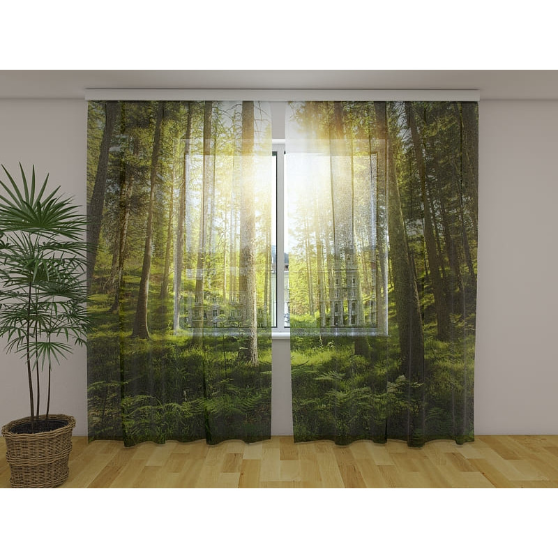 1,00 €Tente personnalisée - Ensoleillée avec une forêt verte