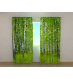 1,00 € Gordijn op maat - Berken in het bos - ARREDALACASA