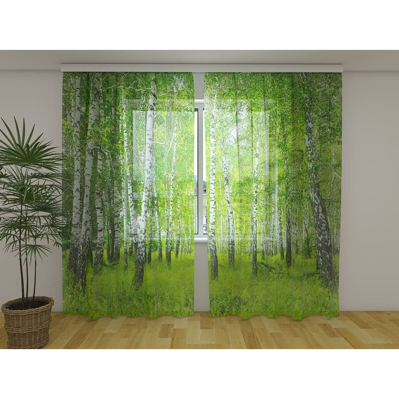 1,00 € Custom curtain - Birches in the woods - ARREDALACASA