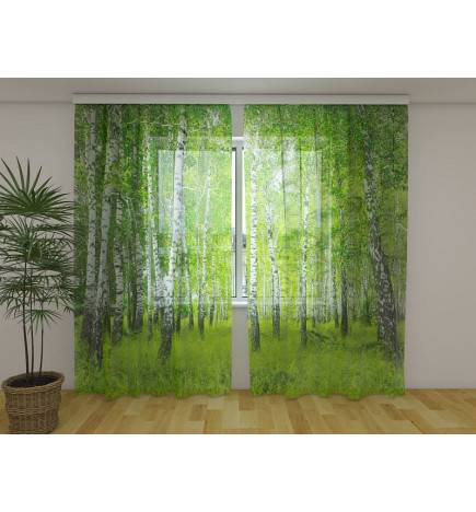 Custom curtain - Birches in the woods - ARREDALACASA