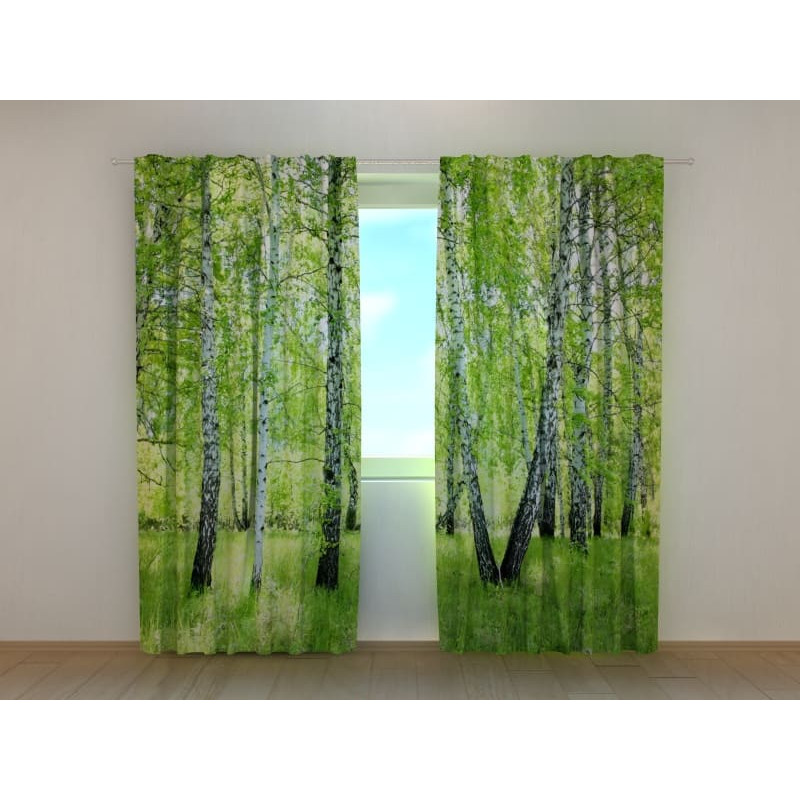 1,00 €Tenda personalizzata - Betulle nella foresta