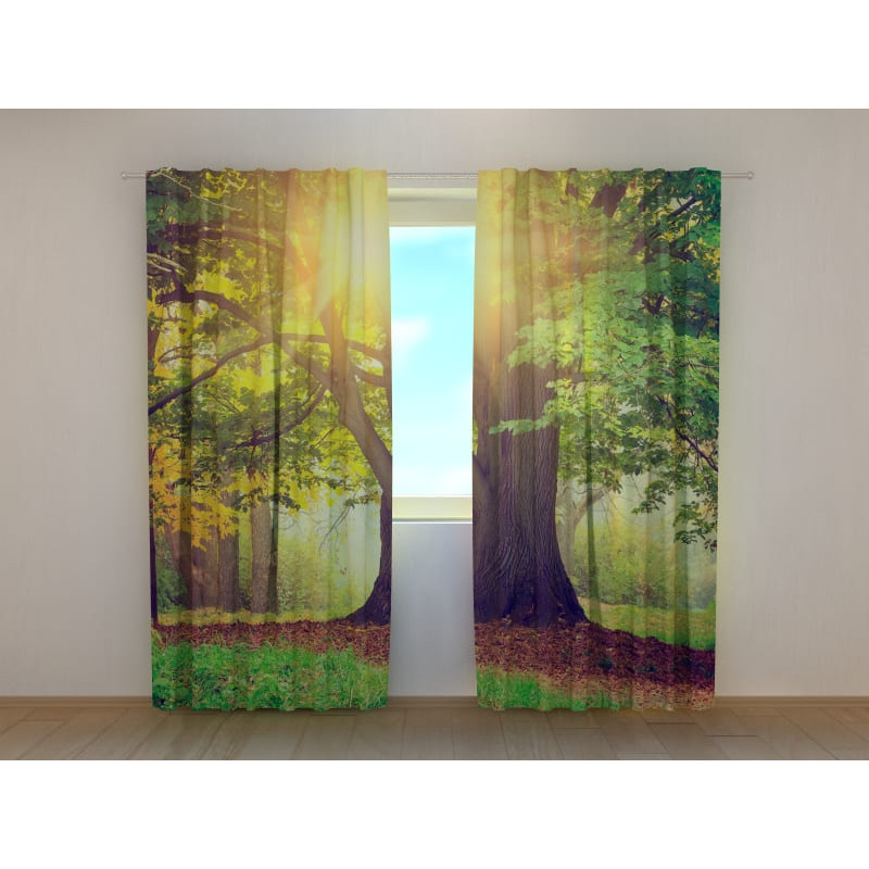 1,00 € Tent op maat - Met een grote boom