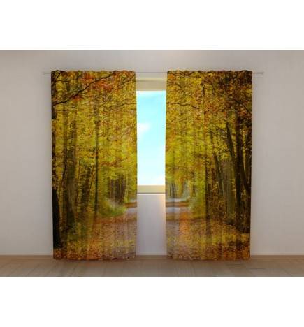 Maßgeschneidertes Zelt – Herbstlich mit einer von Bäumen gesäumten Auffahrt