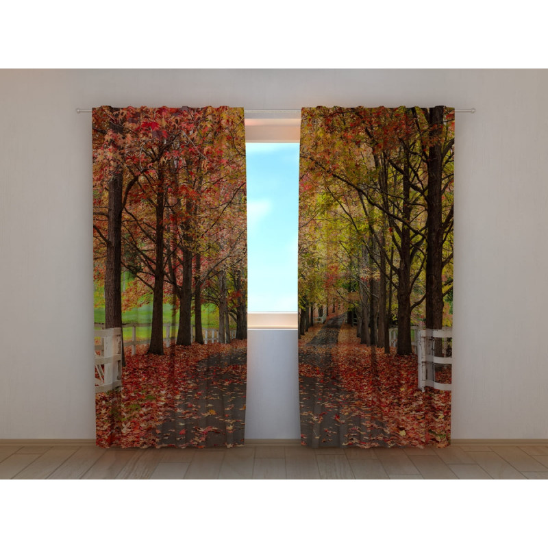 1,00 € Aangepaste tent - Met de met bomen omzoomde laan in de herfst