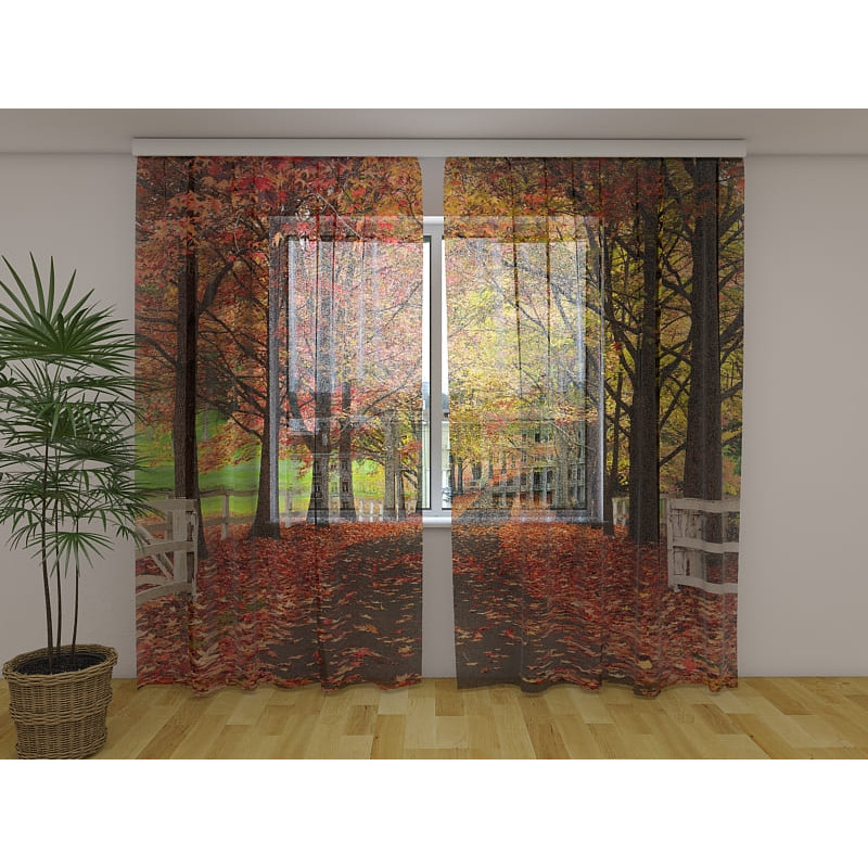 1,00 € Carpa personalizada - Con la avenida arbolada en el otoño