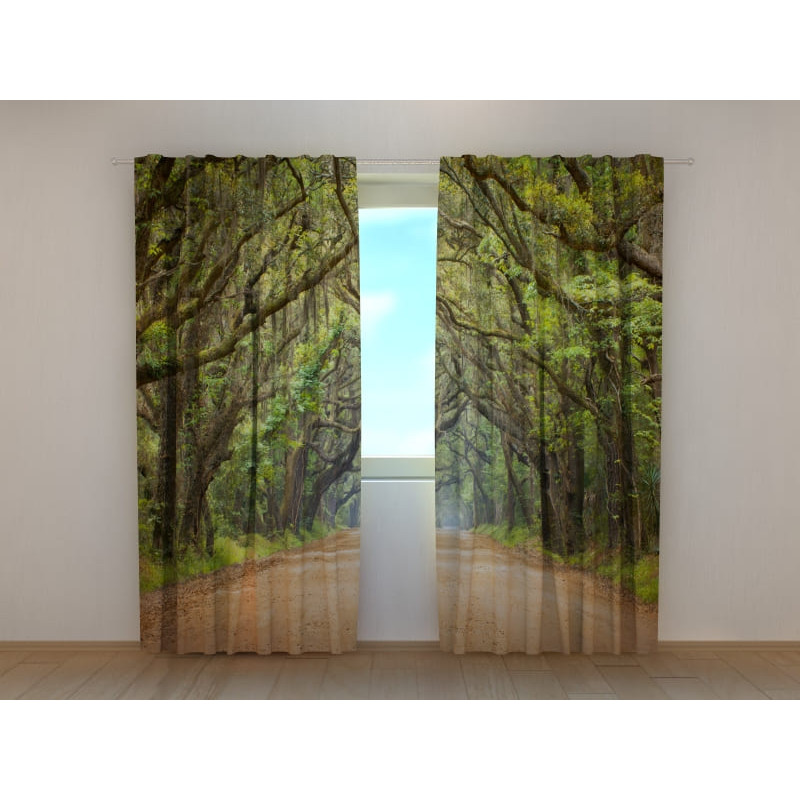 1,00 € Custom Tent - Australian Tree Lined Avenue 1,00 € Custom Tent - Australian Tree Lined Avenue