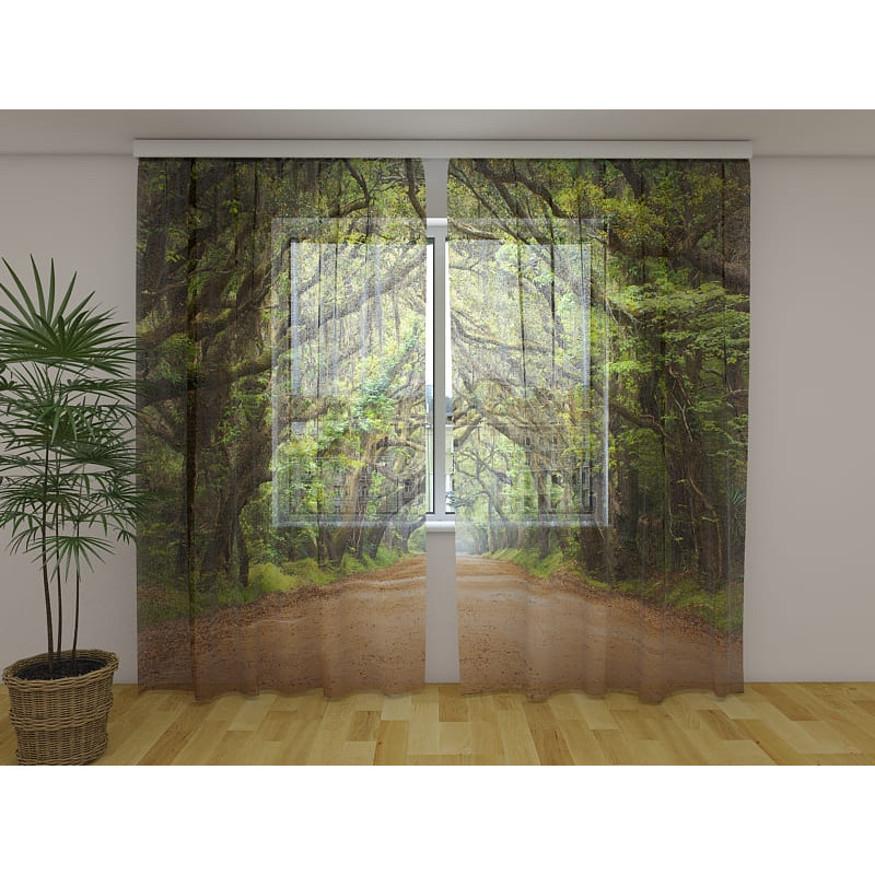 1,00 €Tenda Personalizada - Avenida Arborizada Australiana