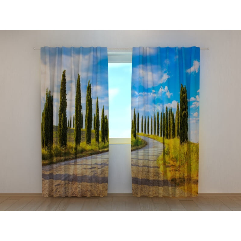1,00 € Custom Tent - Italian Tree Lined Avenue - In Tuscany