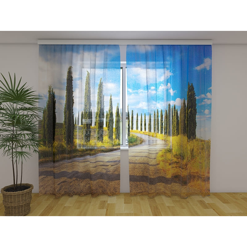 1,00 € Cort personalizat - Bulevardul mărginit de copaci italian - În Toscana