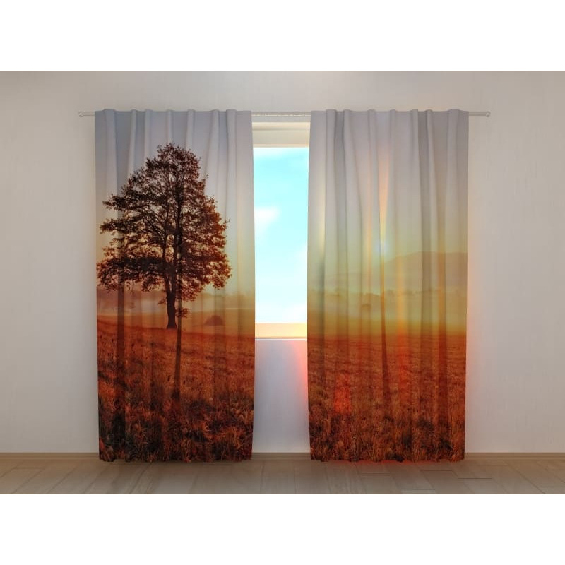 1,00 € Custom tent - Isolated tree - FURNISH HOME