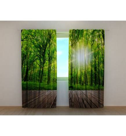 1,00 € Maßgeschneidertes Zelt – mit Blick auf den Wald