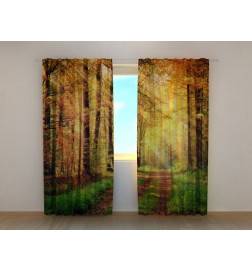 1,00 € Individualizuota palapinė – miško takas