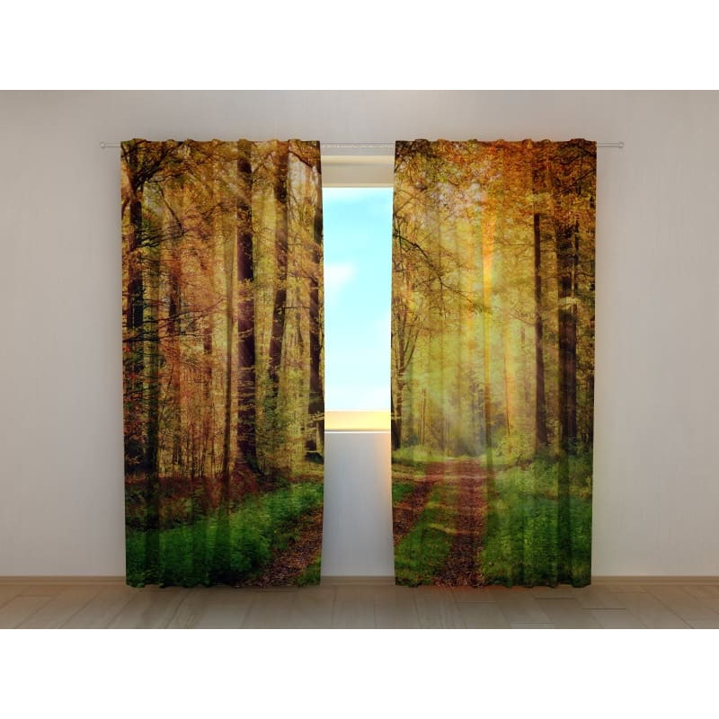 1,00 €Tenda Personalizada - Trilha na Floresta