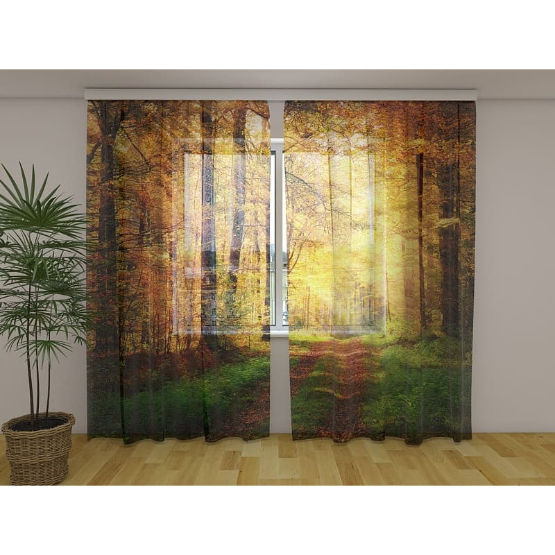 1,00 € Individualizuota palapinė – miško takas