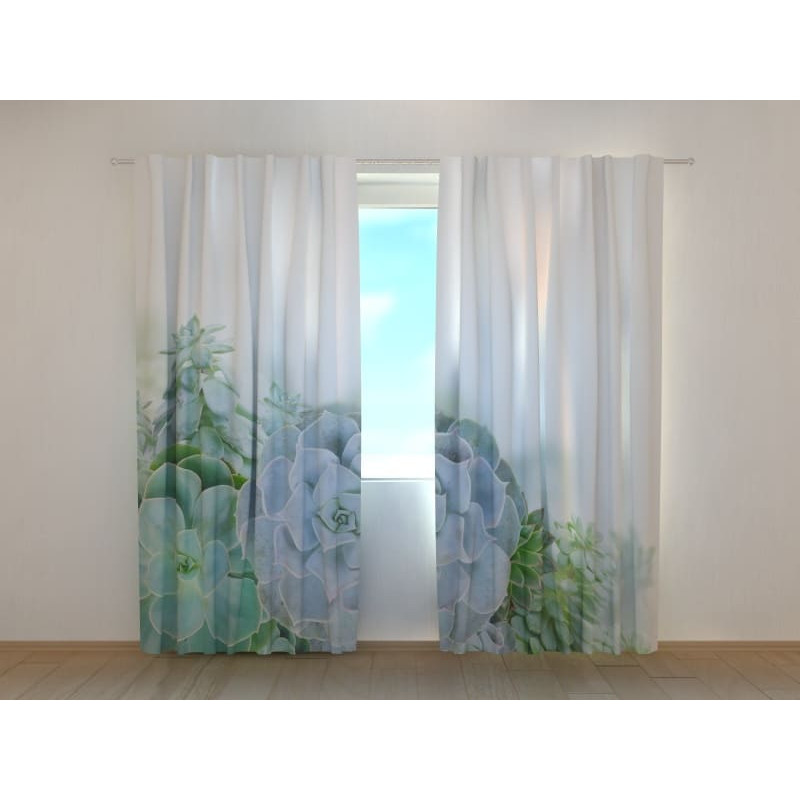 1,00 € Cort personalizat - cu suculente si verdeata 1,00 € Cort personalizat - cu suculente si verdeata