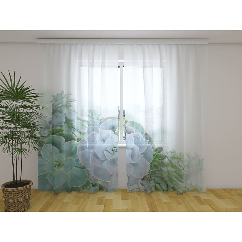 1,00 € Tellimustelk – sukulentide ja rohelusega