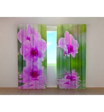1,00 € Custom Tent - Featuring the purple orchids by the lake