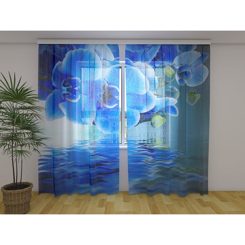1,00 € Maßgeschneidertes Zelt – mit blauen Orchideen im blauen Meer
