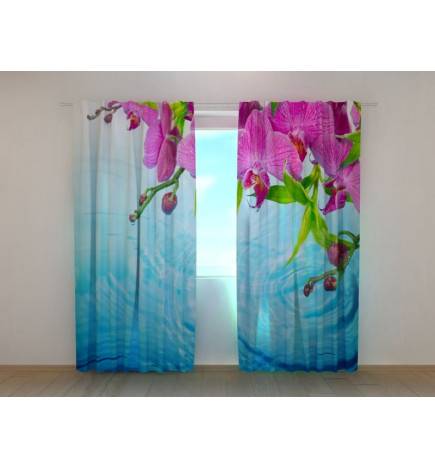 1,00 €Barraca personalizada – com orquídeas e rio