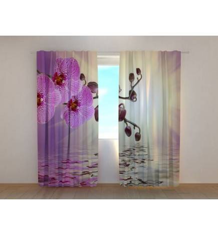 1,00 €Tenda Personalizada - Com as flores roxas e o lago