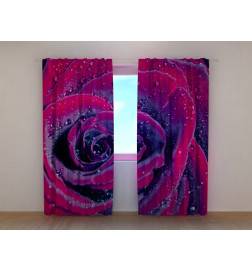 1,00 € Custom curtain - The rose and the dew