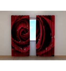 1,00 € Custom curtain - The red rose and the dew