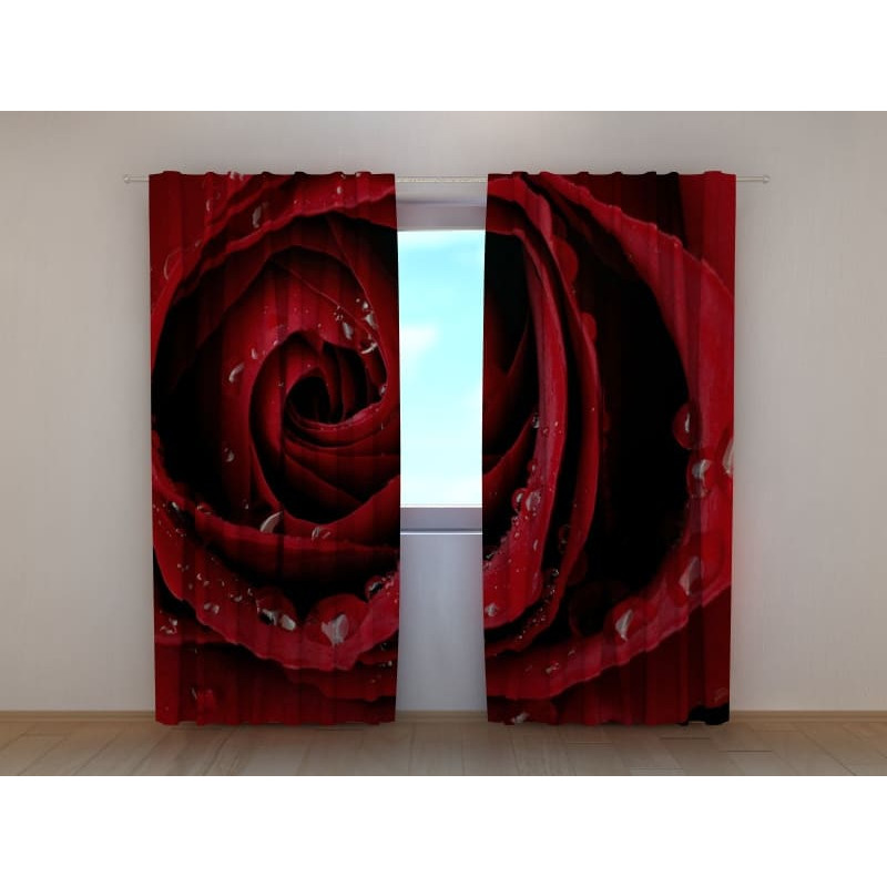 1,00 € Maßgeschneiderter Vorhang – Die rote Rose und der Tau