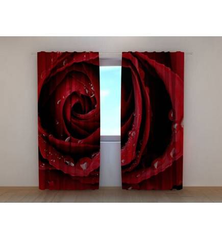 1,00 € Maßgeschneiderter Vorhang – Die rote Rose und der Tau