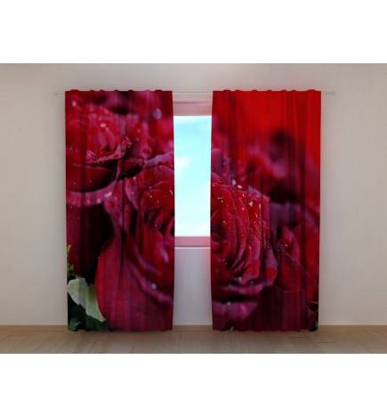 1,00 € Custom Curtain - With lots of red roses and dew