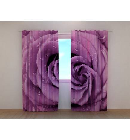 1,00 € Personalized curtain - With a rose and the dew