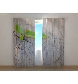 1,00 € Kohandatud telk – puukännuga