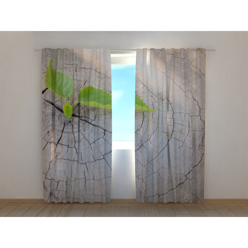 1,00 € Räätälöity teltta - Kannolla 1,00 € Räätälöity teltta - Kannolla