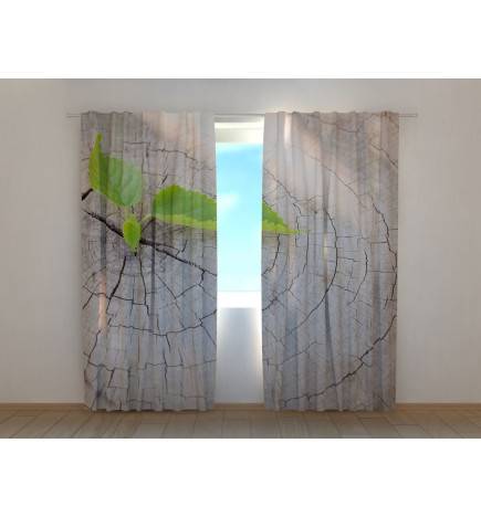 1,00 € Räätälöity teltta - Kannolla