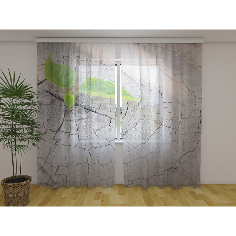 1,00 €Tenda Personalizada - Com toco de árvore