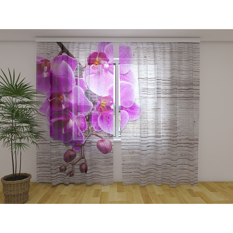 1,00 € Aangepaste gordijn - paarse orchideeën op hout