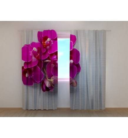 1,00 € Individualizuotos užuolaidos – violetinės orchidėjos ant pilkos medienos